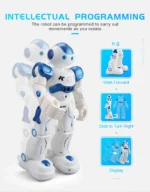 SenseBot – Gesture Sensing Smart Robot - Image 10