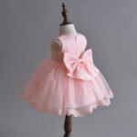 LunaBloom – Baby Girl Full Moon Princess Dress - Image 4